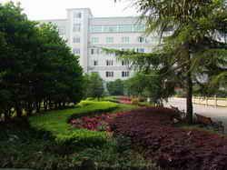 �Z(y��)�Ľ��нM